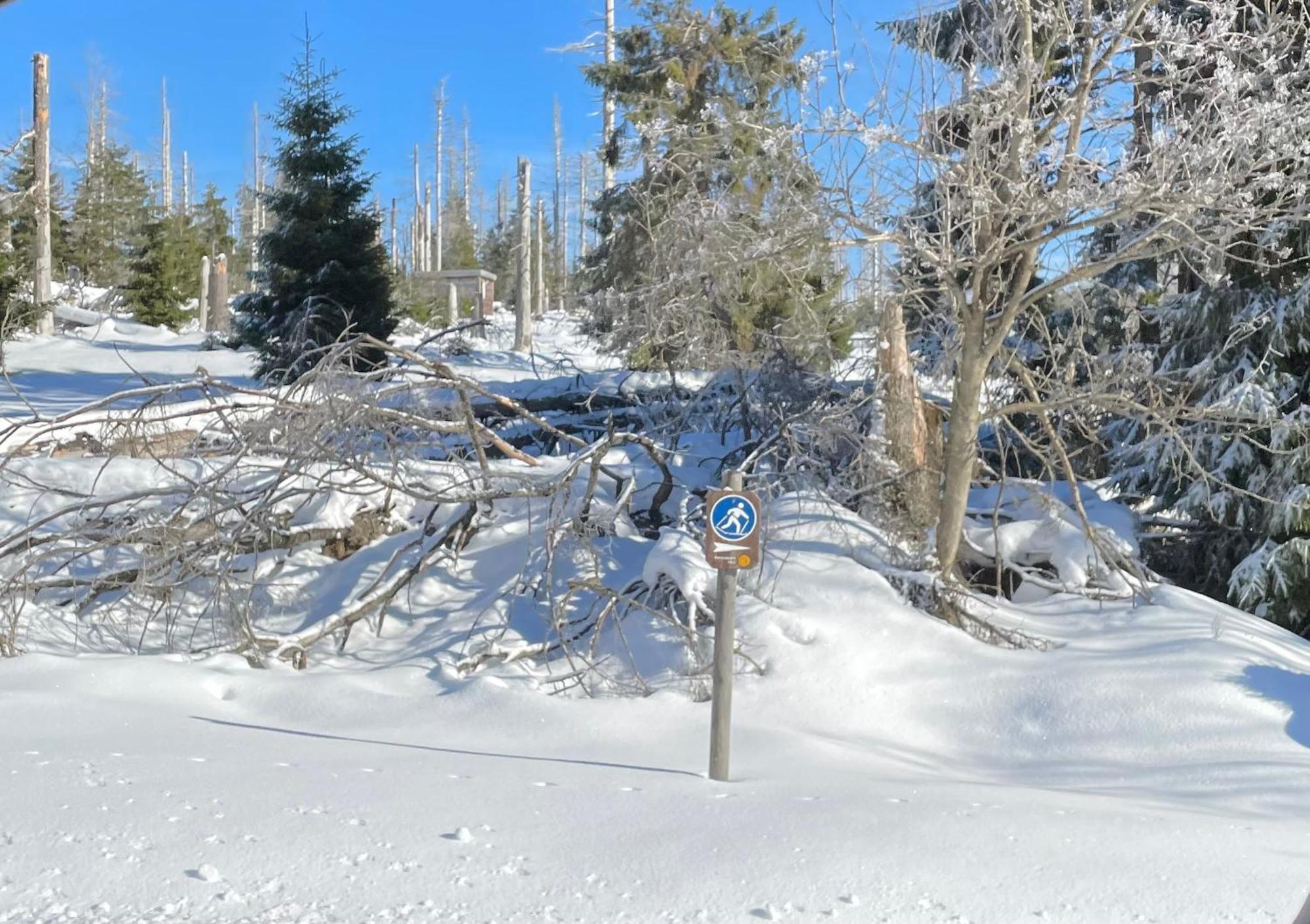 Ferienwohnung Harzer Traum - frisch renoviert, inklusive Wäsche und WLAN Braunlage Exterior foto
